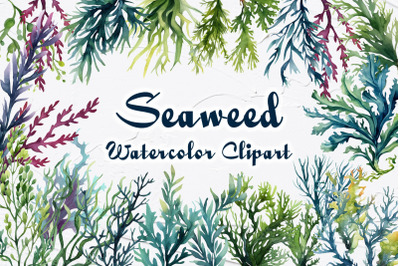 Seaweed Watercolor clipart. Coral Reef Clipart