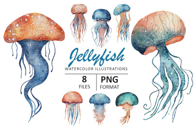 Jellyfish watercolor illustration