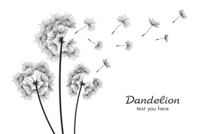 Dandelion + pattern