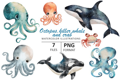 Octopus, killer Whale and crab