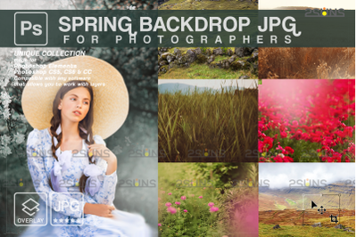 Flower backdrop, floral background, photo overlays