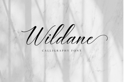 Wildane | Calligraphy Font