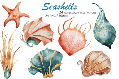 Seashells watercolor illustrations