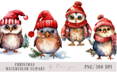 Watercolor sparrow and owl / Christmas bird clipart- 4 png