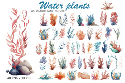 Water Plants Seaweed Clipart