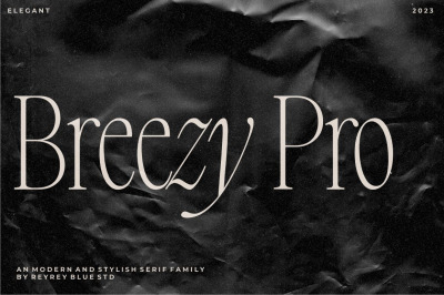 Breezy Pro - Vintage Serif