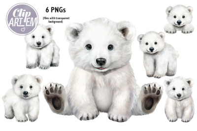 Cute Realistic Polar Baby Bear Watercolor Clip Art 6 PNG Images Set
