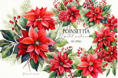 Poinsettia PNG, Christmas Flower Clipart