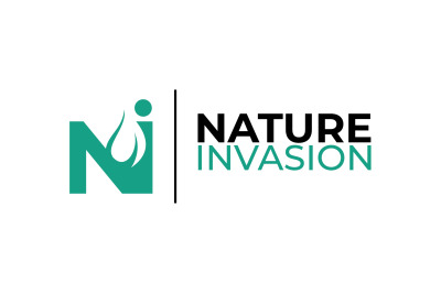 letter n nature logo vector template logo design