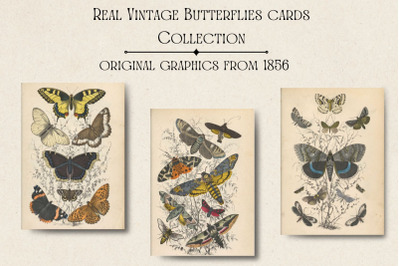 Vintage Butterflies Vintage Cards
