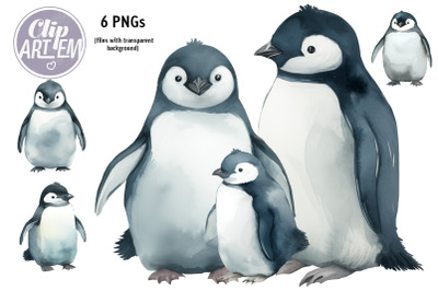 Cute Realistic Penguins Mommy Daddy Baby Watercolor Images 6 PNG Set