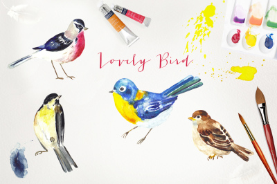 Birds and feather. Watercolor clipart.
