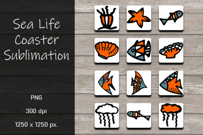 Sea Life Coaster Sublimation Design Bundle