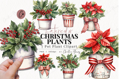 Watercolor Christmas Plant Clipart