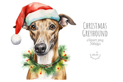 Christmas Greyhound