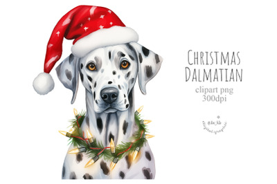Christmas Dalmatian