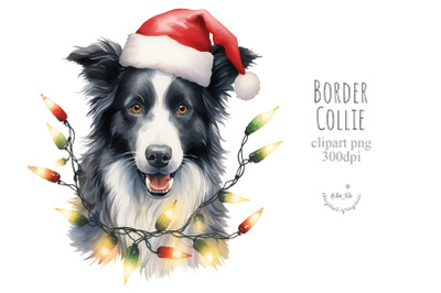 Christmas Border Collie