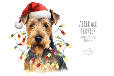 Christmas Airedale