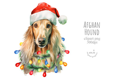 Christmas Afghan Hound