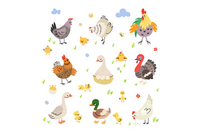 Farm birds cartoon set. Duck on nest, turkey and hen with yellow chick