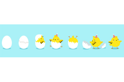 Chick hatching process, yellow chicken in eggs. Cute cartoon bird hatc