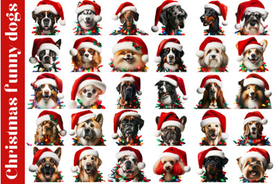 Funny Christmas Dogs