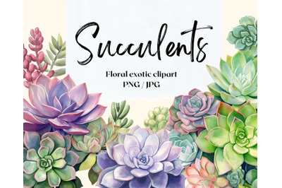 Succulents pattern and elements. Floral exotic clipart without backgro