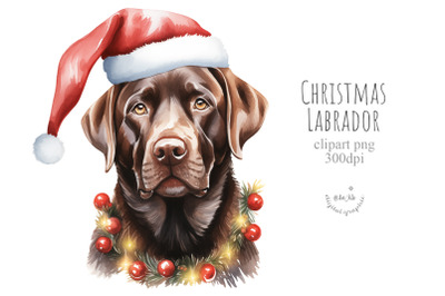 Christmas Labrador