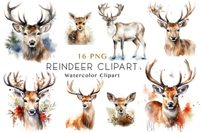 Christmas Reindeer Clipart Bundle