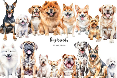 Watercolor dog breeds clipart. Whole body dogs clip art. Dog types 25