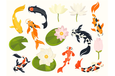 Koi fish and lotus. Exotic asian aquatic animals swimming in lotus flo