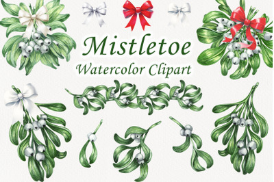 Watercolor Botanical Mistletoe Set.