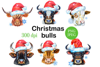 Christmas bulls