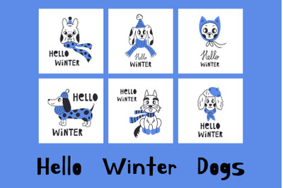 Hello Winter Dogs