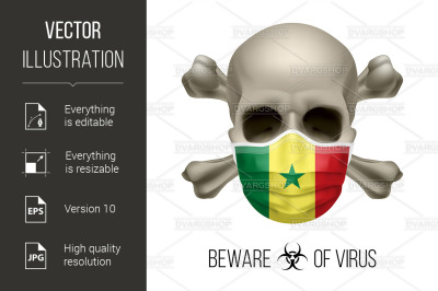 Human Skull