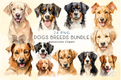 24 Dog Breeds clipart Bundle