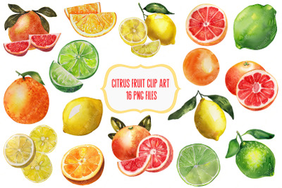 Watercolor Citrus Fruit Clip Art