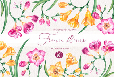 Watercolor Freesia flowers clipart PNG