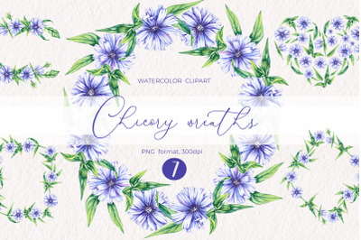 Watercolor chicory wreaths clipart PNG