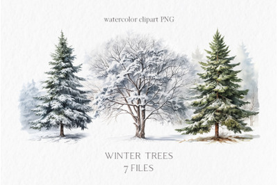 Winter watercolor trees clipart PNG