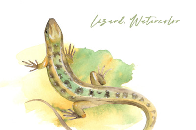 Watercolor lizard | PNG Sublimation design