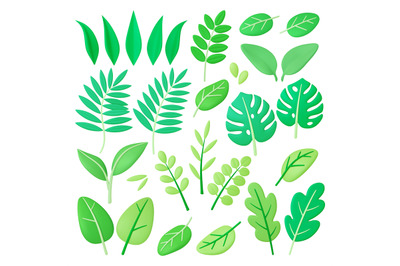 Green 3d foliage, tropical leaves summer spring season. Decorative pla