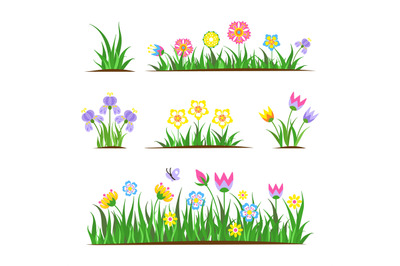 Garden flat flowers in grass. Spring tulip, meadow decorative floral e