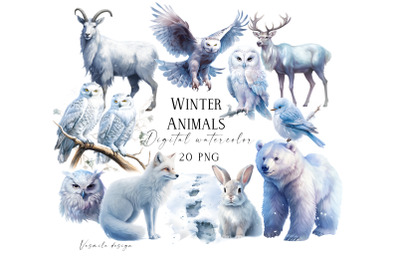 Watercolor Forest Animals, Winter Wonderland Clipart PNG