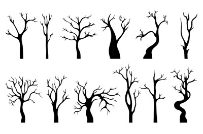 Naked tree black isolated silhouette. Winter trees, autumn empty branc