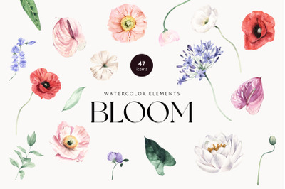 Bloom Watercolor Elements