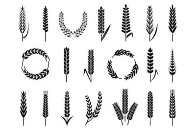 Organic wheat barley ears&2C; bakery harvest symbols. Isolated agricultur