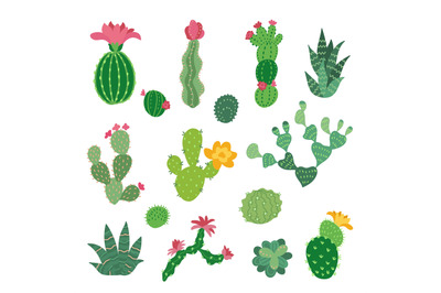 Decorative cactus collection. Cacti flowers symbols, mexico desert pla