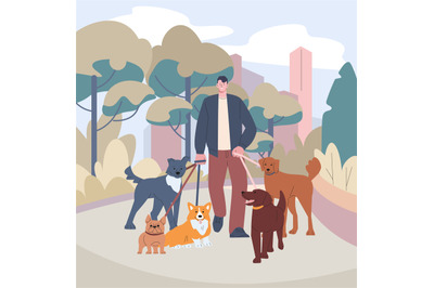 Dog sitter, volunteer walking with dogs on nature. Walker pets in city