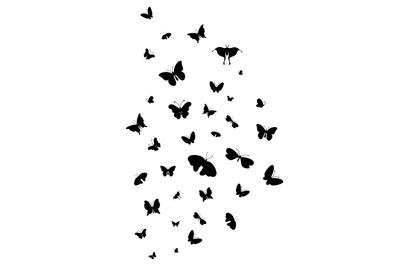 Isolated flying butterflies poster&2C; black butterfly icons. Decorative